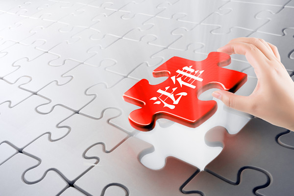 預(yù)算審計(jì)咨詢(xún)：指導(dǎo)企業(yè)開(kāi)展審計(jì)工作，確保預(yù)算合規(guī)