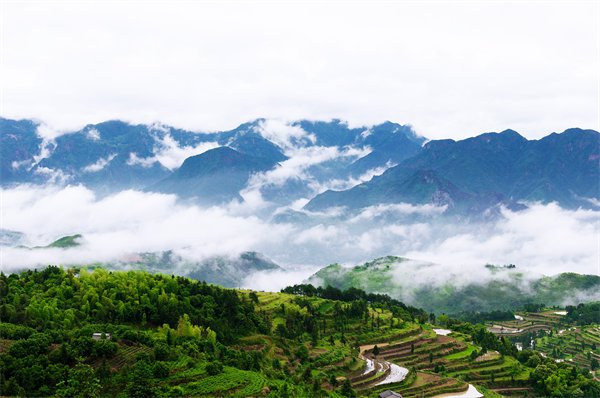 管理咨詢?nèi)绾沃刂萜髽I(yè)戰(zhàn)略規(guī)劃落地？