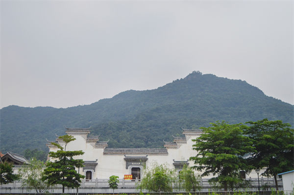 佛山組織規(guī)劃咨詢公司如何優(yōu)化企業(yè)人才梯隊(duì)建設(shè)？
