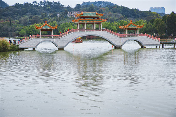 肇慶戰(zhàn)略咨詢公司如何助力企業(yè)分析市場(chǎng)趨勢(shì)與機(jī)遇？