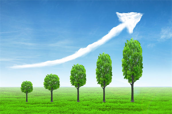 植樹就是植未來，對企業(yè)的戰(zhàn)略規(guī)劃有哪些啟示？